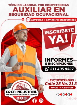 Cursos